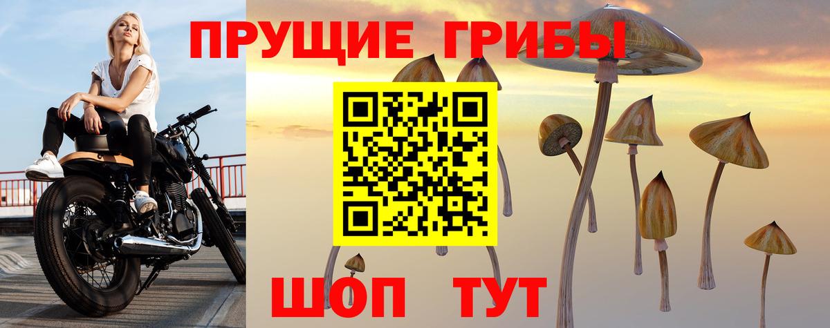 Грязи  Галлюциногенные грибы MAGIC MUSHROOMS  Вход с VPN  Галлюциногенные грибы GOLDEN TEACHER 