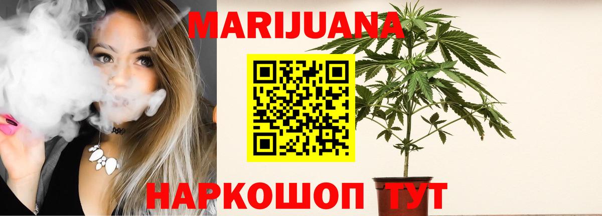 Бошки Шишки сатива Грязи
